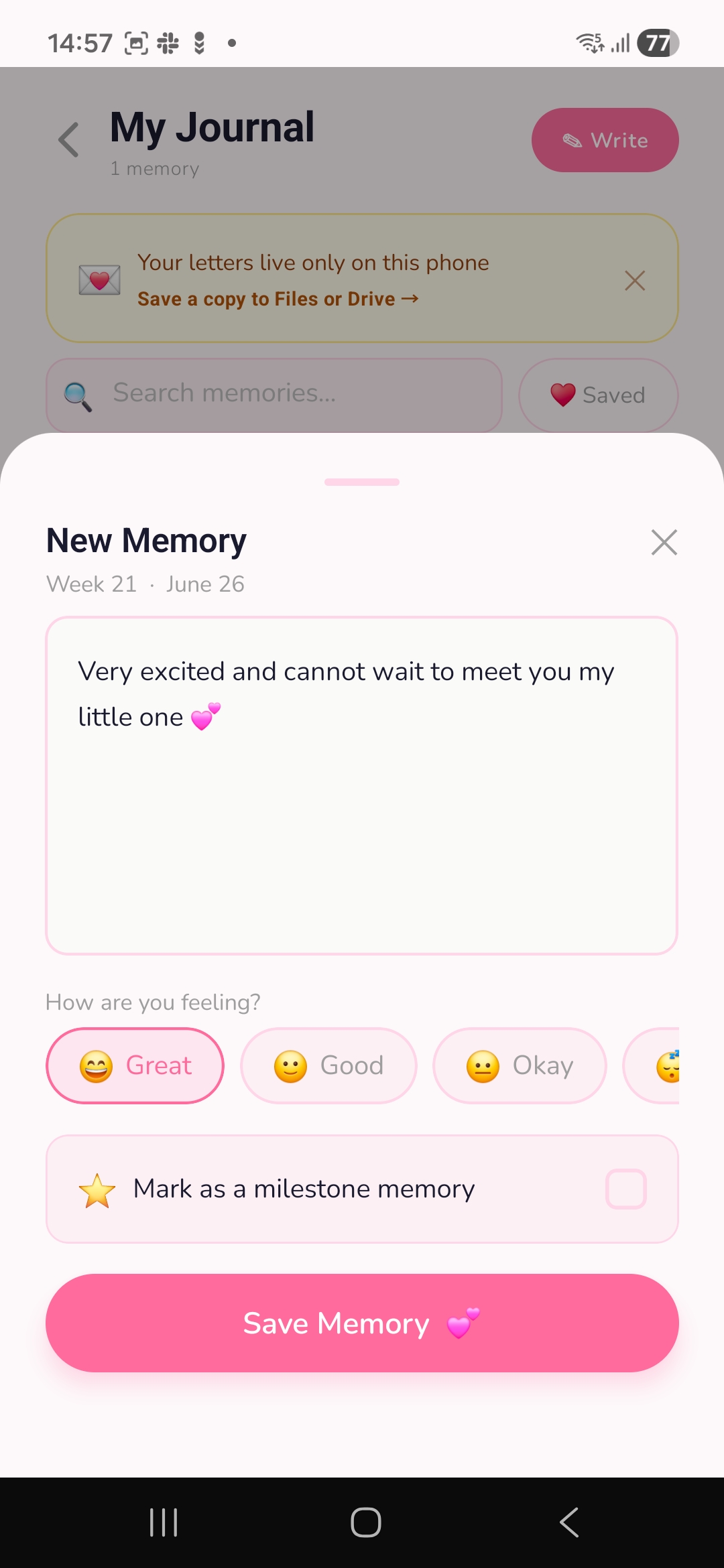 Pregnancy journal