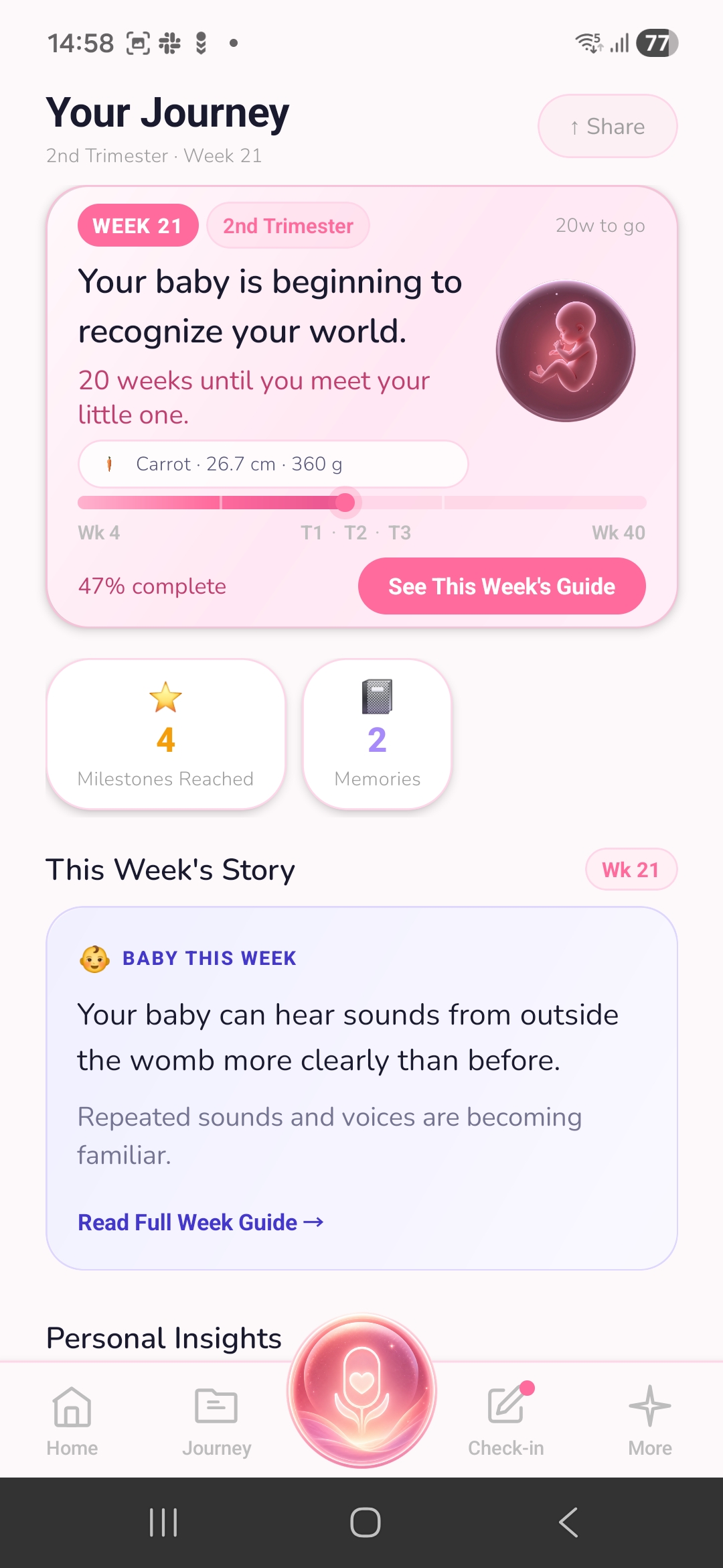 Pregnancy journey timeline
